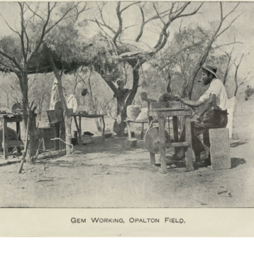 Opalton and Mayneside Opal Fields 1902