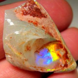 Rare Fossil Australian Gem Rough Opal Bivalve Aquarium Ornament Specimen 21ct